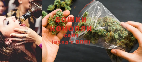 MESCALINE Аркадак