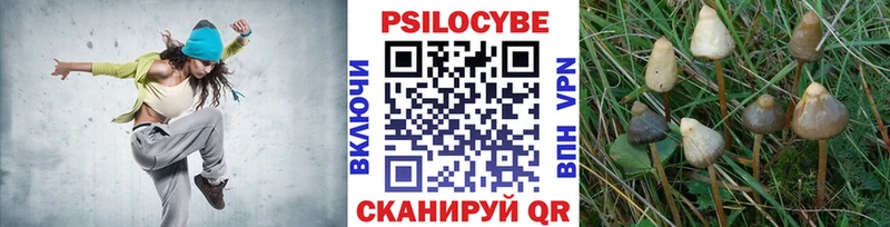 Псилоцибиновые грибы мухоморы  гидра ссылка  shop Telegram  Усть-Джегута 